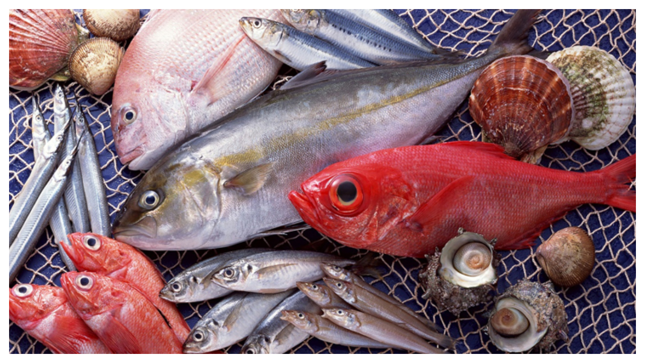 Loại cá ngậm nhiều thủy ngân, kim loại nặng nhất chợ: Đừng tham rẻ