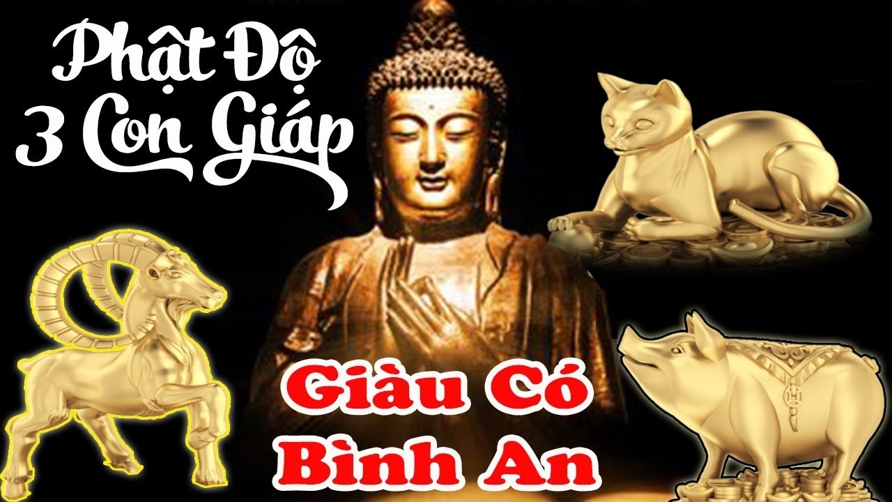 7 ngày tới, 3 tuổi càng làm càng phất, đón nhận hồng ân của Phật Bà