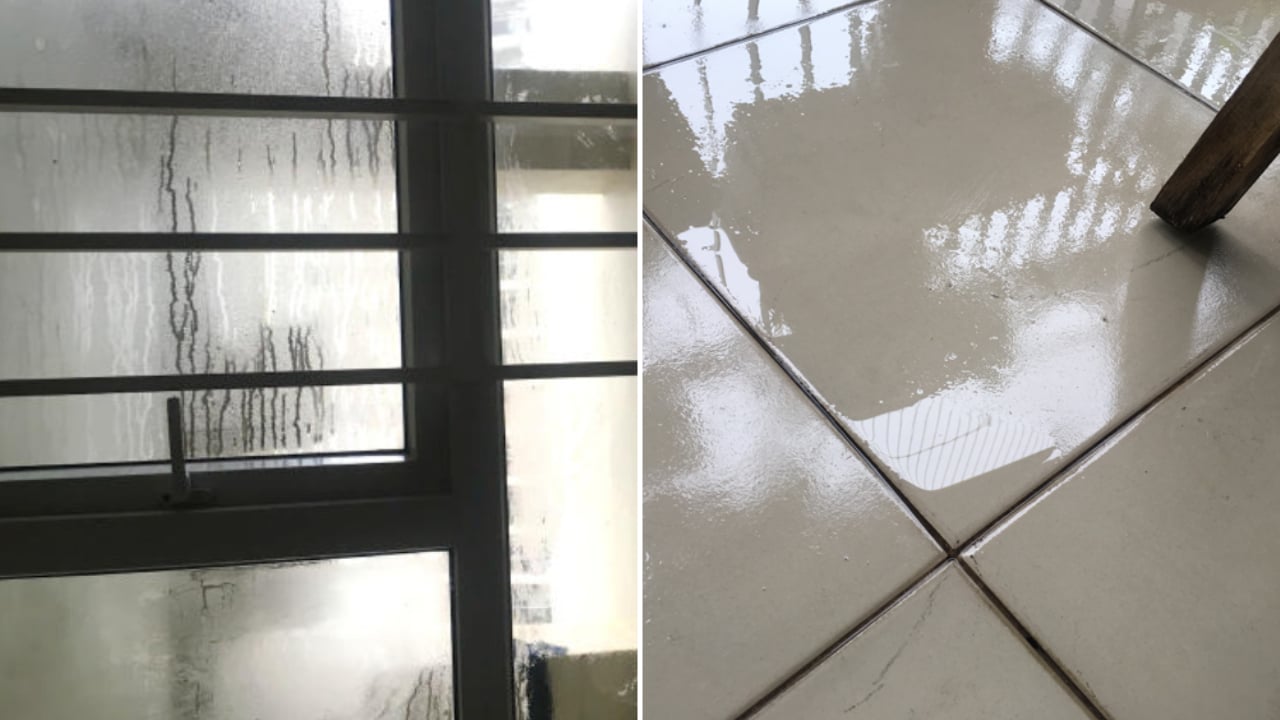 Nhà đang nồm ẩm chảy nước thì đừng bật quạt, làm 5 việc này để hút ẩm, giữ nhà khô ráo