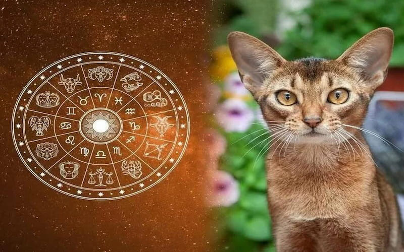 3 con giáp vận hạn rời xa, may mắn ngập tràn, Tiền Tình rực rỡ sau tiết ...