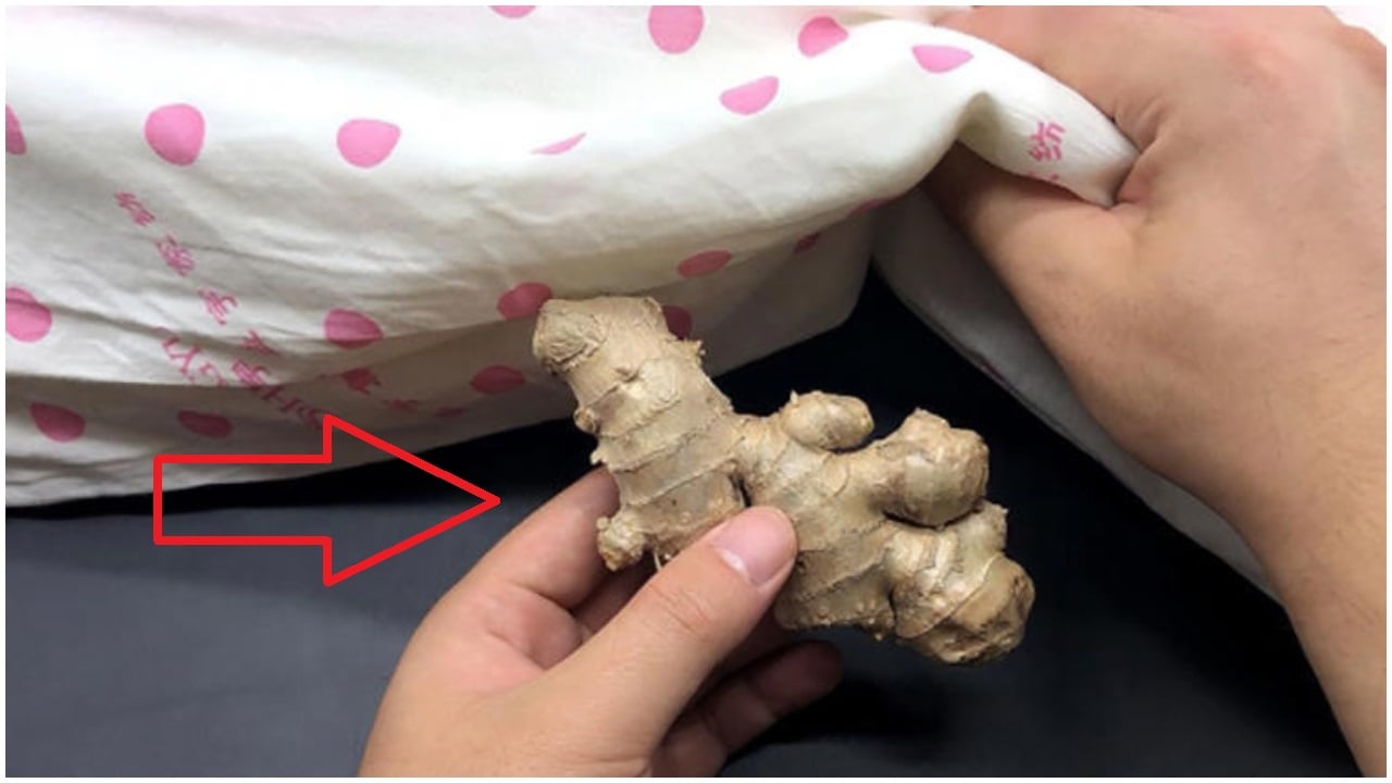 Đặt 1 nhánh gừng xuống gối trước khi ngủ: Mẹo hay cả nam và nữ đều cần, không biết quá phí