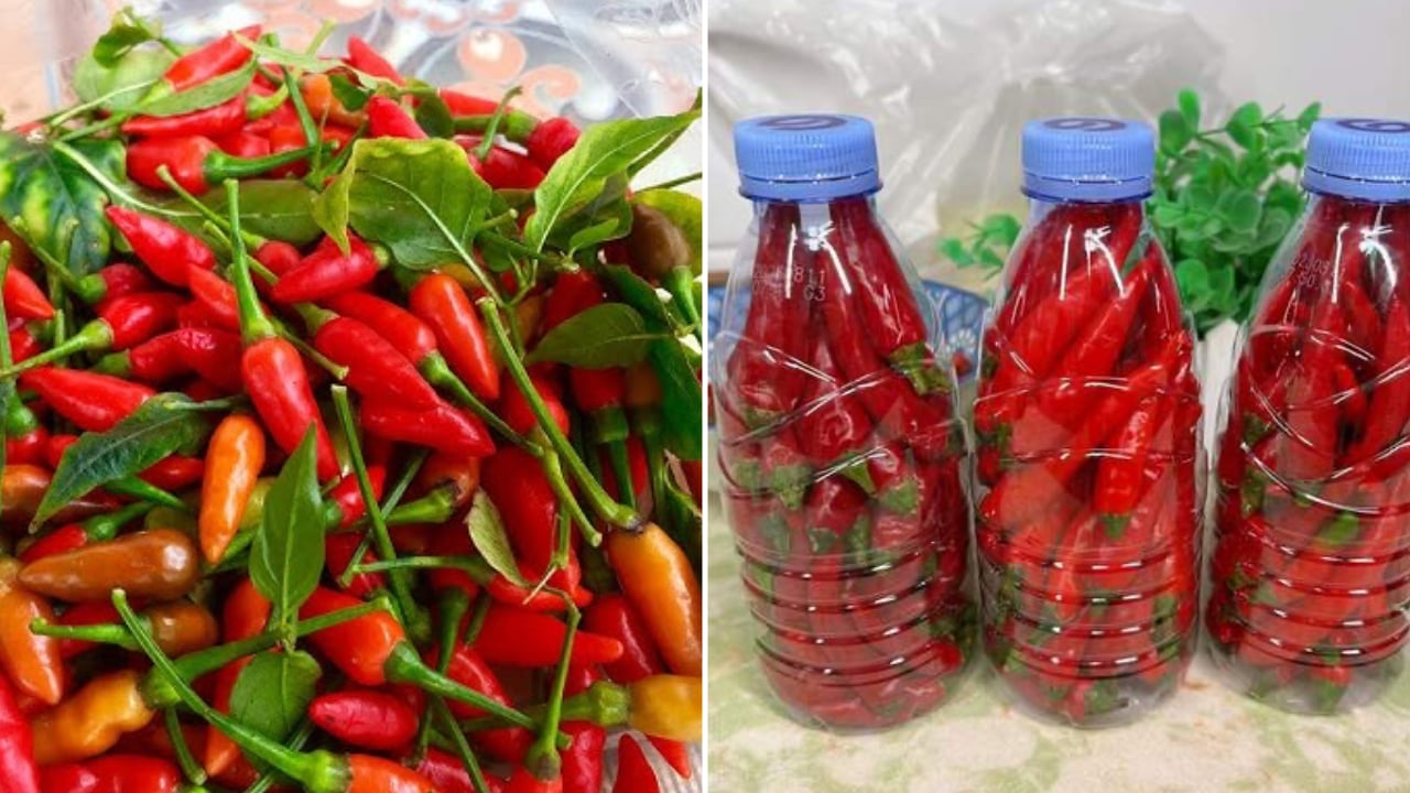 Ớt mua về đừng bỏ ngay vào tủ lạnh, bảo quản ớt theo cách này, để cả năm  vẫn tươi ngon