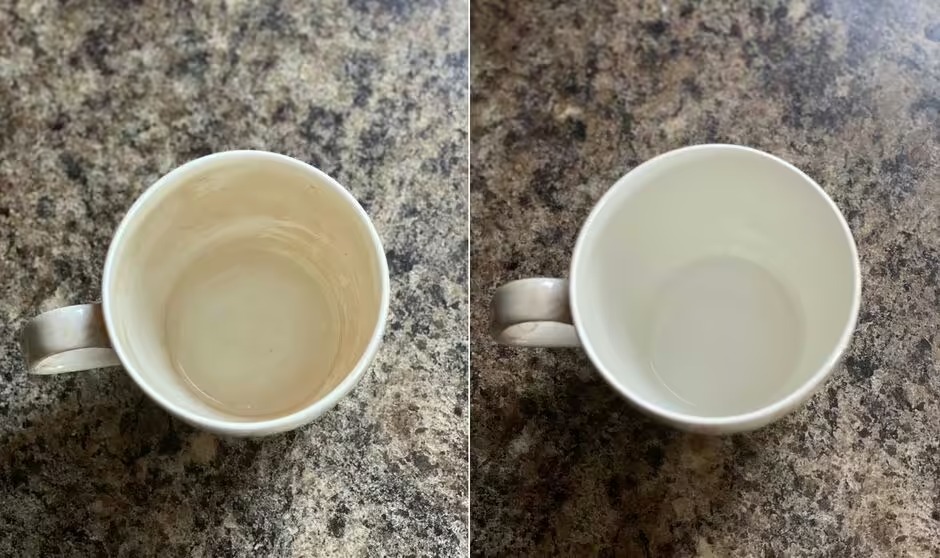 Xóa sạch vết ố vàng của trà, cà phê bám trên cốc lâu ngày chỉ với một món đồ rẻ tiền thần thánh