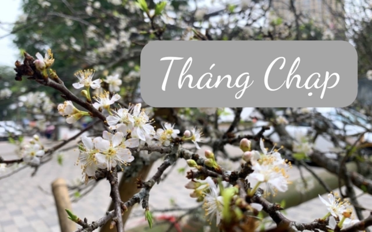 4 điều không nên làm vào tháng 12 Âm lịch kẻo năm tới xui xẻo