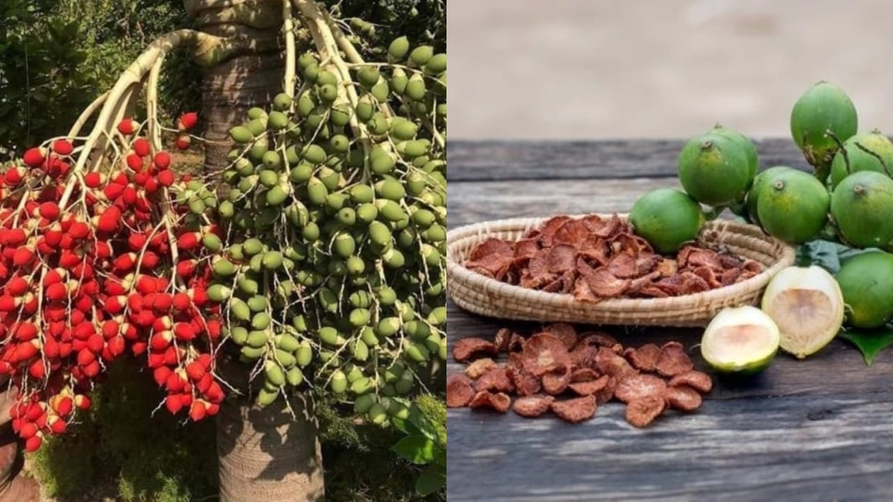 Loại quả chợ Việt bán nhiều được Trung Quốc thu mua ồ ạt là ‘thần dược’ cho người đường huyết cao