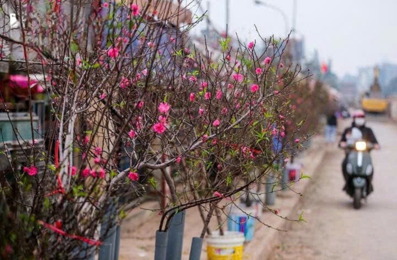 Tết Nguyên đán: Miền Bắc rét đậm và có mua phùn. (Ảnh minh họa)