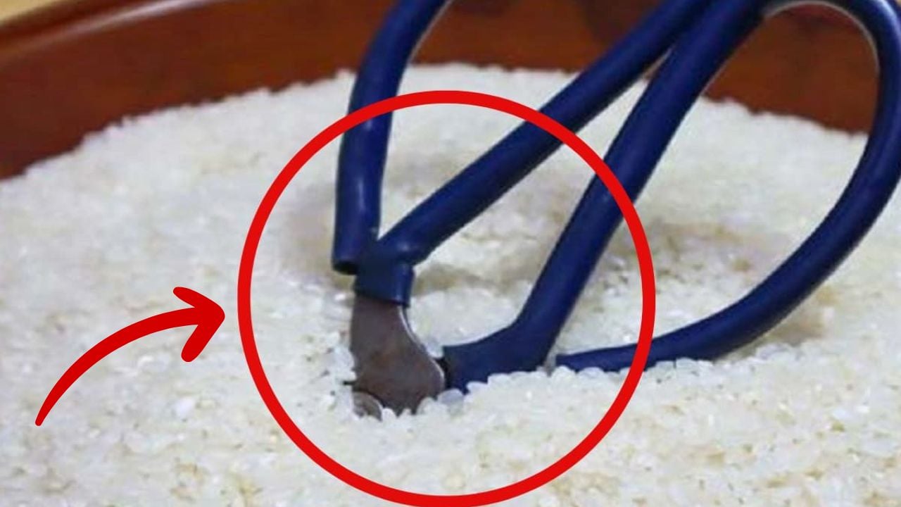 Cắm 1 cây kéo vào thùng gạo, mẹo đơn giản nhà ai làm theo lợi đủ đường