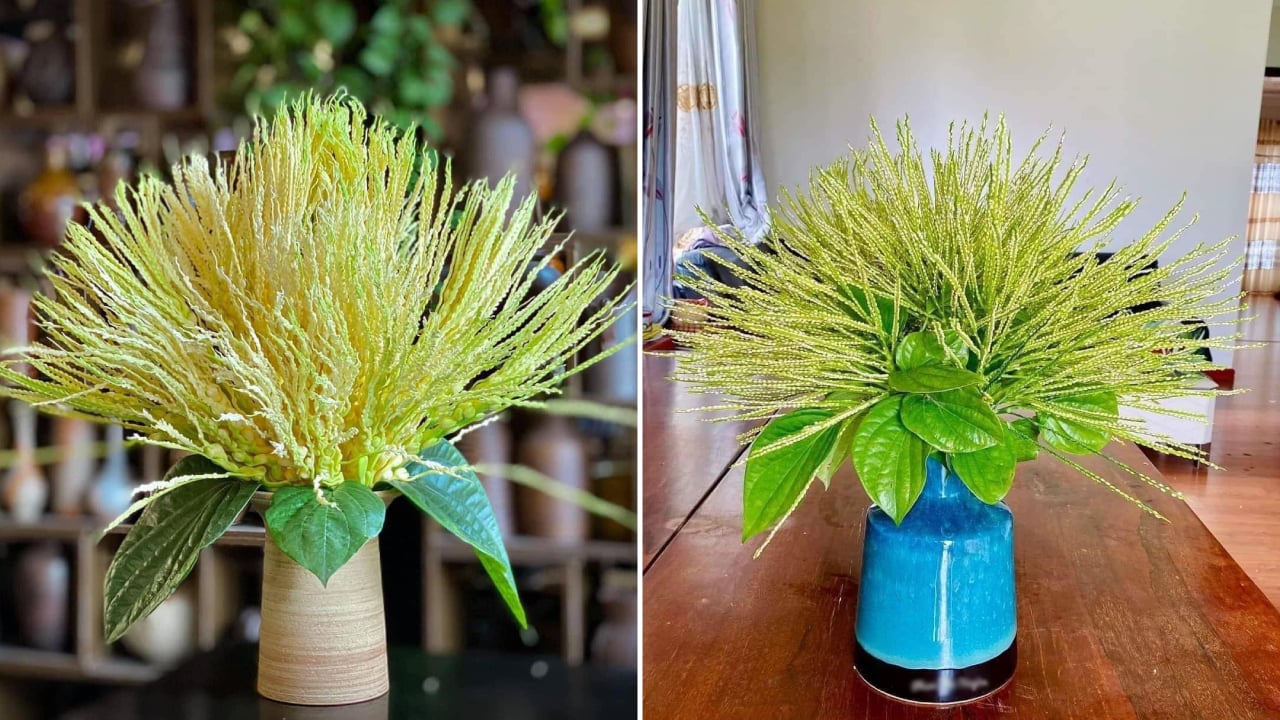 Rằm tháng Giêng đừng chỉ cúng hoa cúc, có 5 loại hoa vừa thơm vừa quý ...