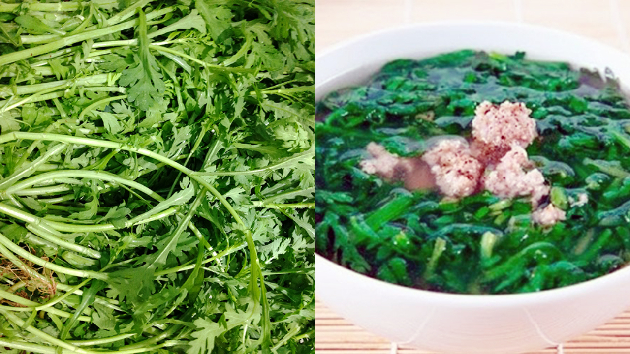Loại cây ngỡ là cỏ dại, ai ngờ 'lên đời' thành món ăn quý tộc, tốt cho ...