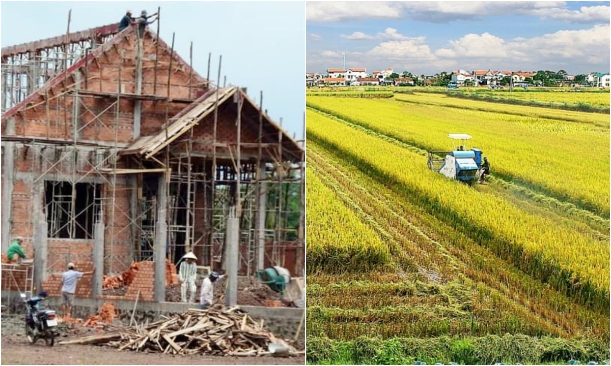Quy Định Xây Nhà Trên Đất Thổ Cư - Những Điều Cần Biết