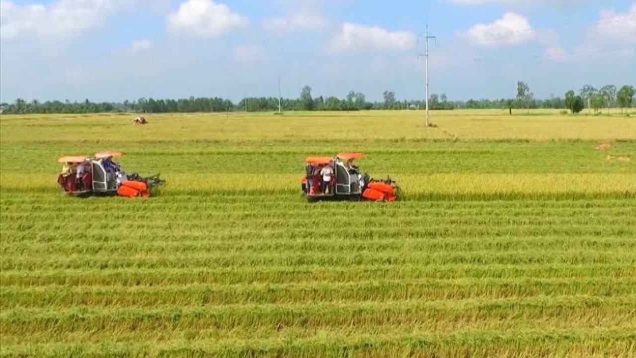 Thu hồi đất nông nghiệp 2025: 8 trường hợp được đền bù