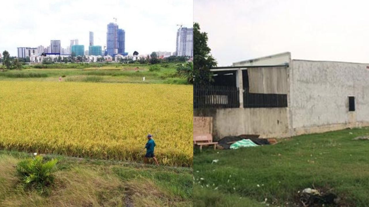 Từ nay chuyển đổi đất nông nghiệp sang đất ở dễ dàng hơn nhờ quy định mới phải không? Ai không biết là thiệt?