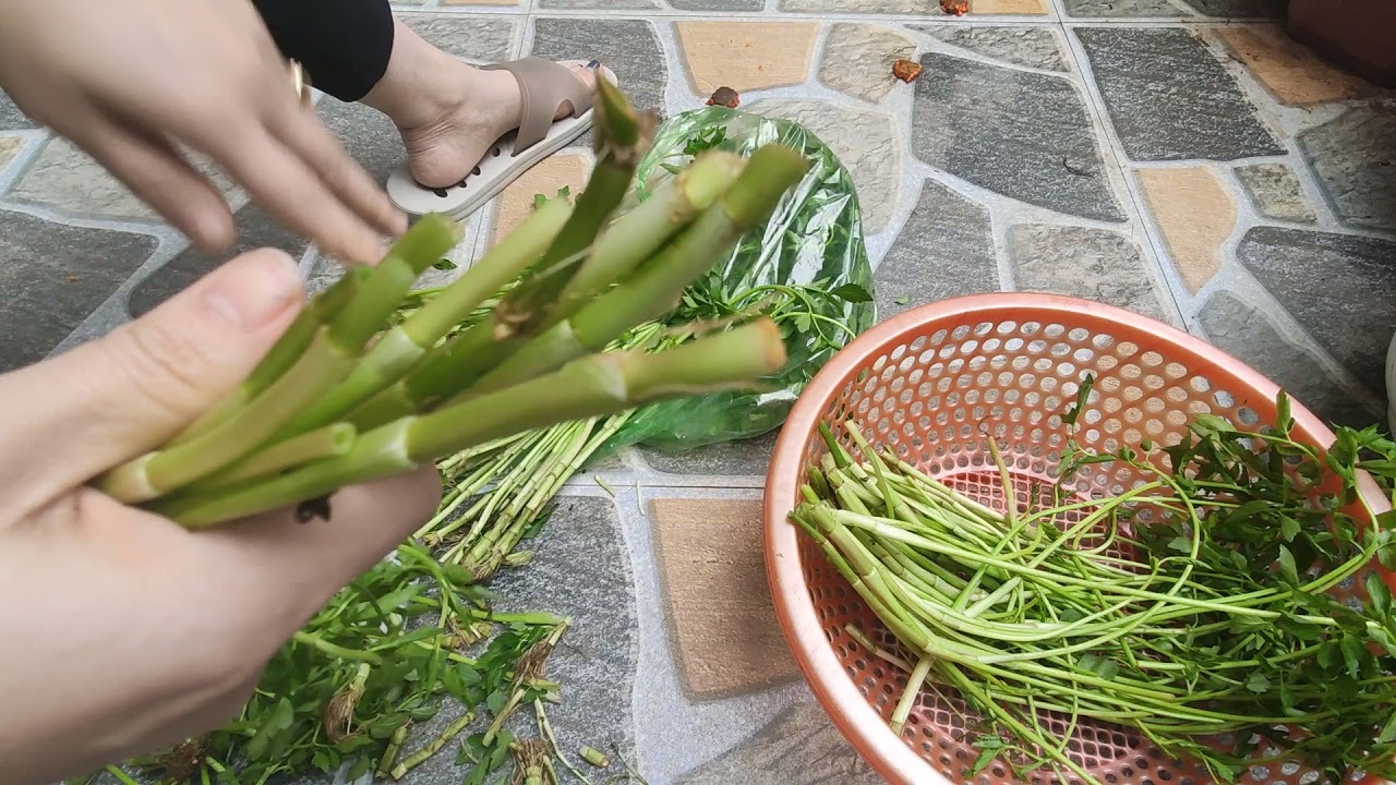 2 loại rau chứa cả ổ sán, cái số 1 nhiều người Việt hay ăn