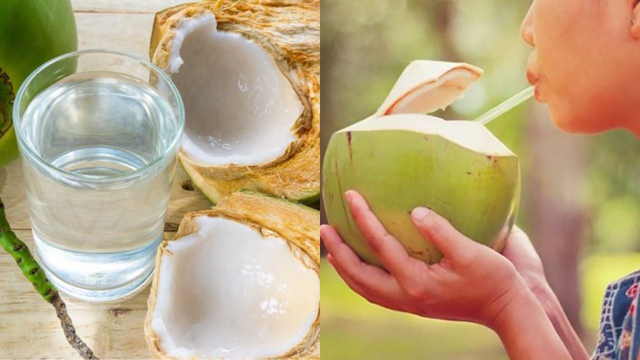 Người đàn ông tử vong sau khi uống nước dừa, chuyên gia nhắc nhở những lưu  ý khi uống nước dừa
