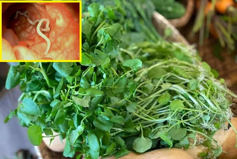 3 loại rau người Việt thích mê dễ là ổ sán, mang bệnh vào người