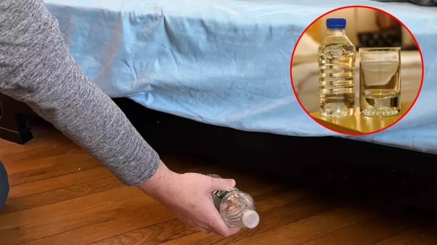 Ném chai nước vào gầm giường khi nhận phòng khách sạn: Lý do đặc biệt ...
