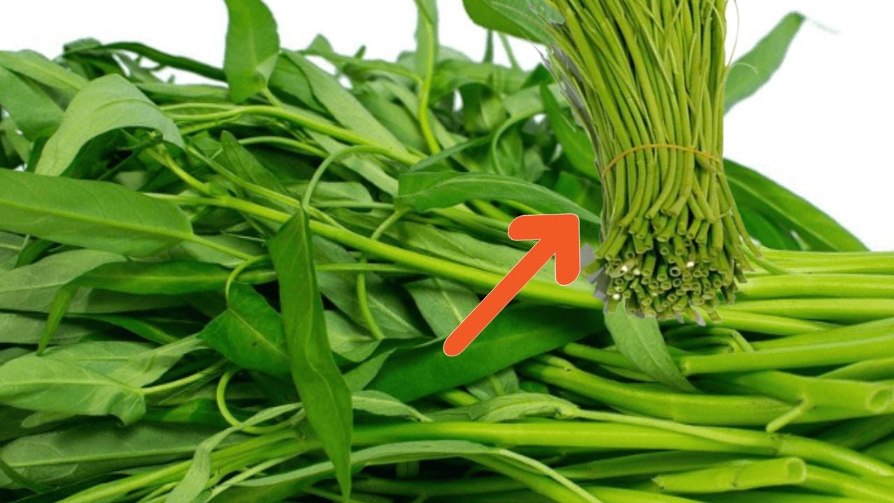 2 cách chế biến cọng rau muống già cực ngon, lạ miệng đổi bữa cho gia ...