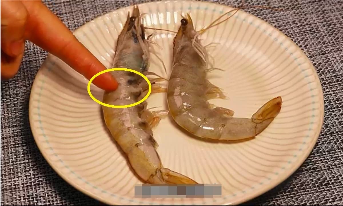 Đi chợ nên chọn tôm thẳng hay tôm cong? Muốn mua tôm tự nhiên phải biết mẹo  này