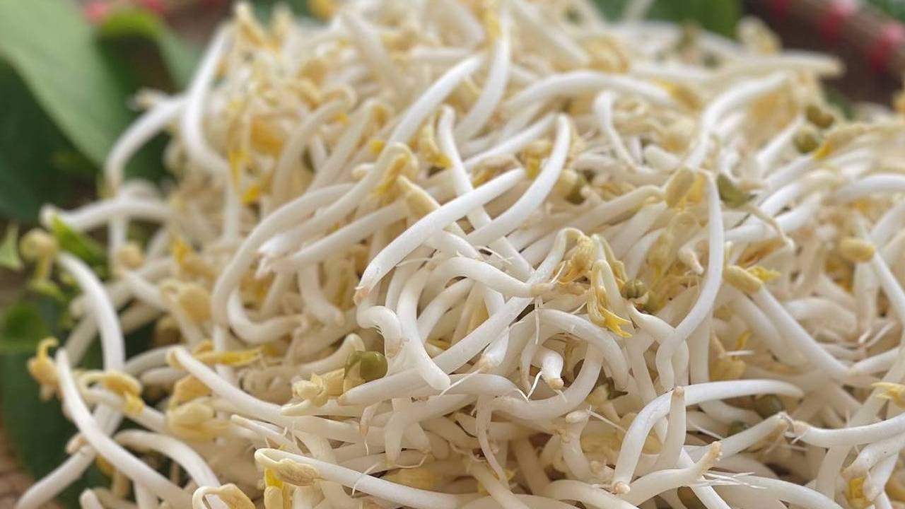 4 loại rau bổ hơn thịt, rẻ hơn thuốc, quý như nhân sâm – nhiều người bỏ ...