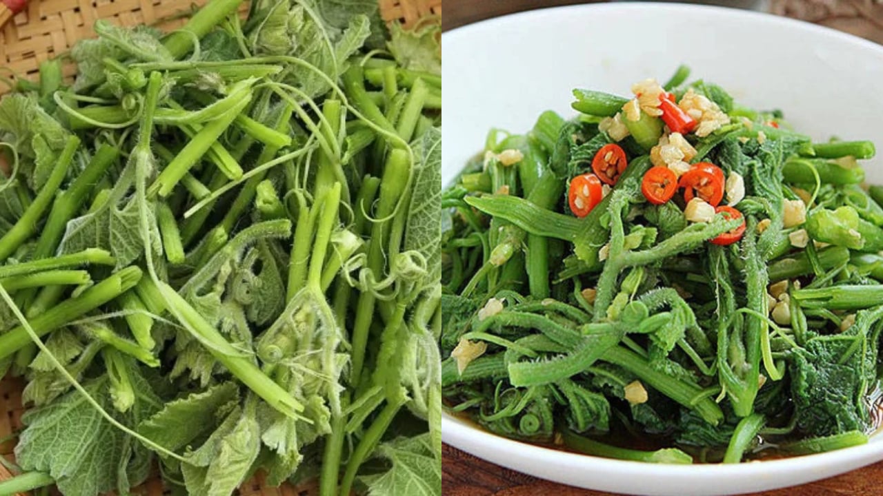 Rau bí – “thuốc bổ gan” dân dã, giàu sắt hơn cả thịt bò