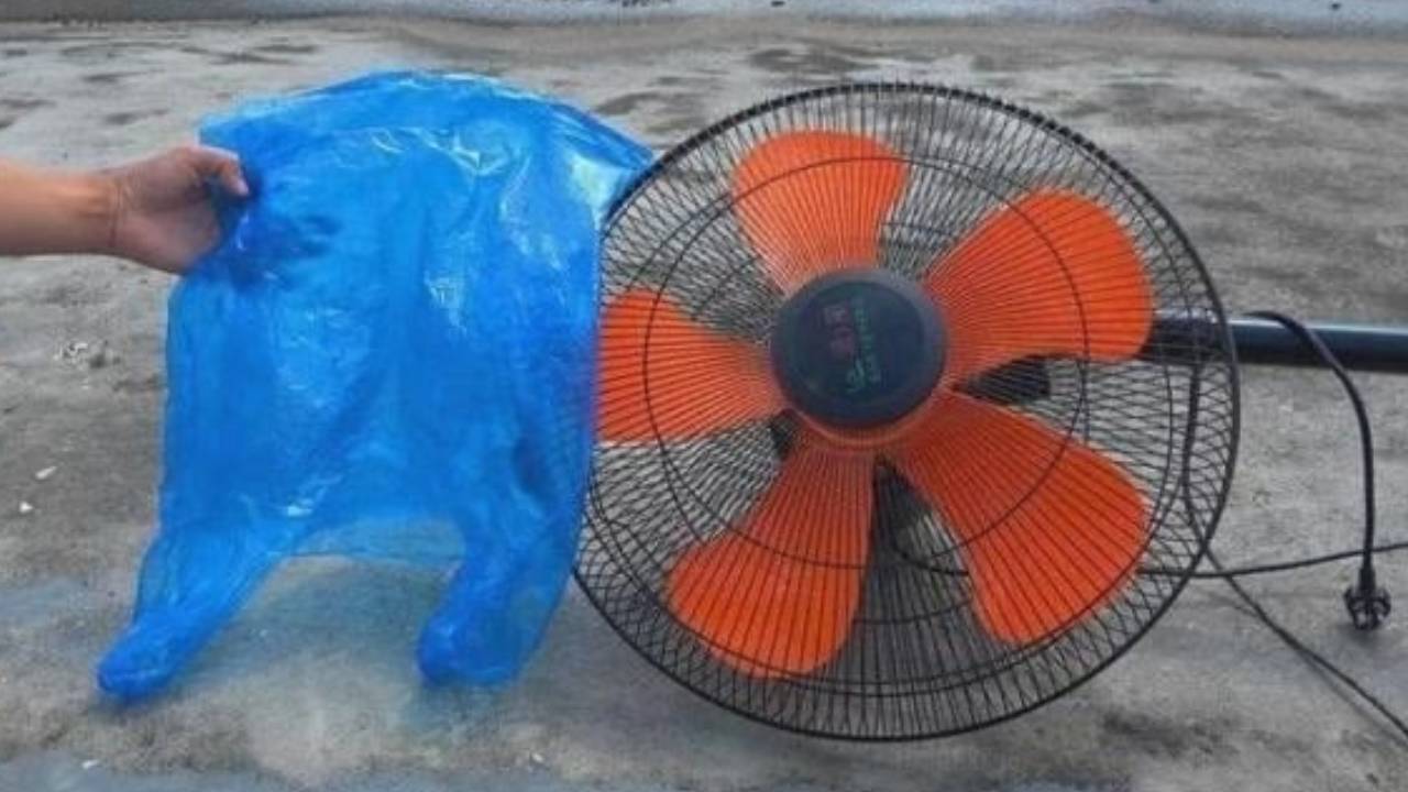 cách vệ sinh quạt - các bài viết về cách vệ sinh quạt, tin tức cách vệ sinh  quạt