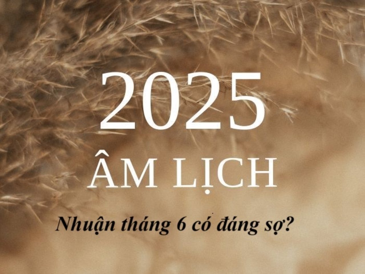 Tháng 6 Nhuận: Cổng tài lộc mở, cơ hội vàng tới! (Ảnh minh họa)