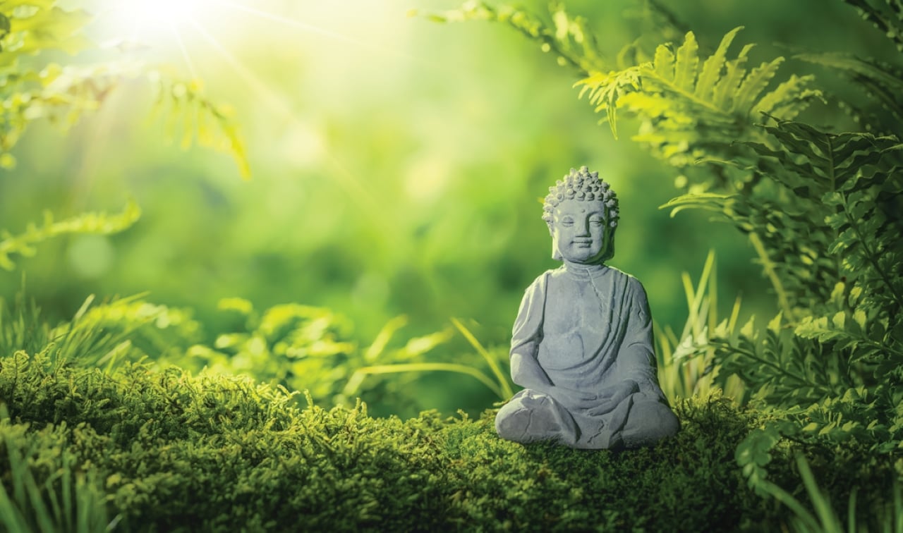 Phật dạy, bản thân không khiến chính mình phiền não, thì người khác cũng sẽ chẳng thể khiến cho ta phiền não được. (Ảnh minh họa)
