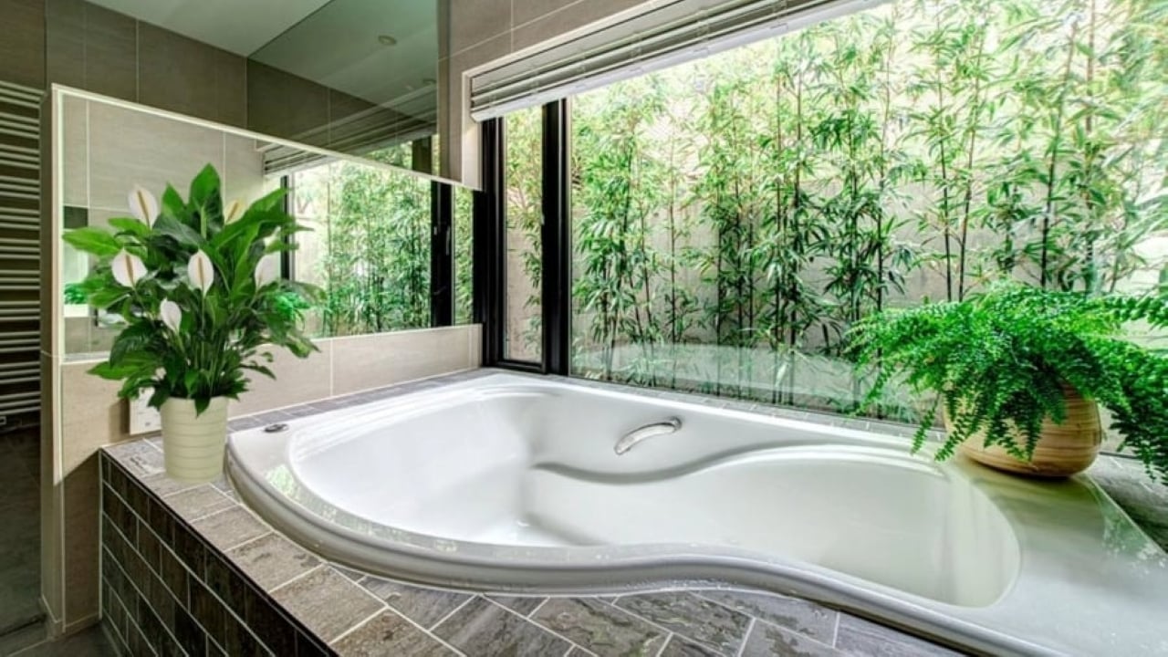 Cây xanh lại rất tốt cho việc khử mùi hôi, tăng cường năng lượng tích cực, cân bằng lại năng lượng xấu của nhà tắm nhà vệ sinh. (Ảnh minh họa)