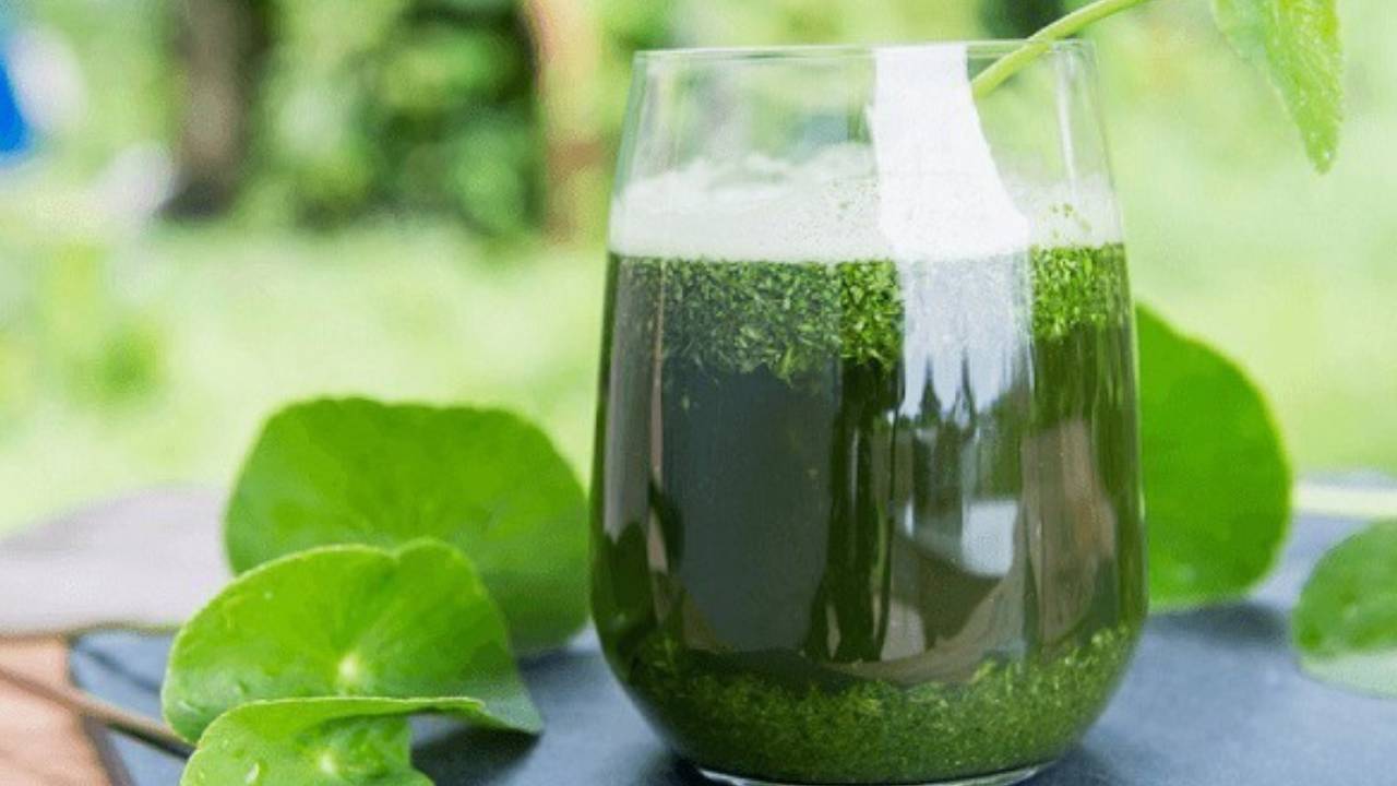 Những người tuyệt đối nên tránh uống nước rau má: Cảnh báo tác hại sức khỏe  ít người biết