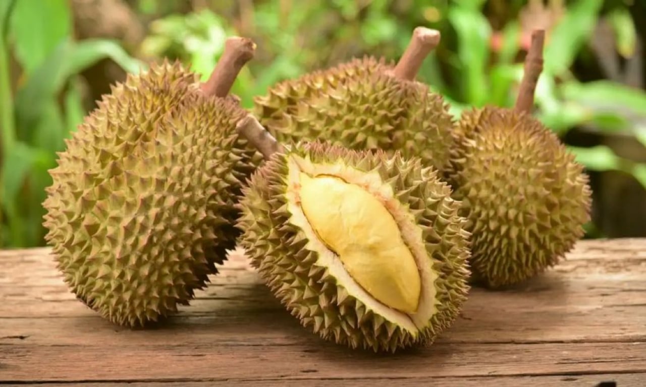 Bí quyết để chọn sầu riêng ngon nằm ở việc: chọn sầu riêng cái. (Ảnh minh họa)