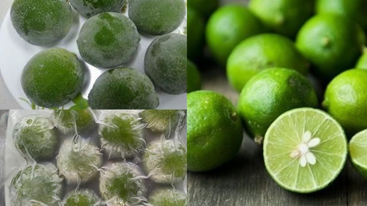 Quả chanh Đông Lạnh, công dụng bất ngờ với sức khỏe