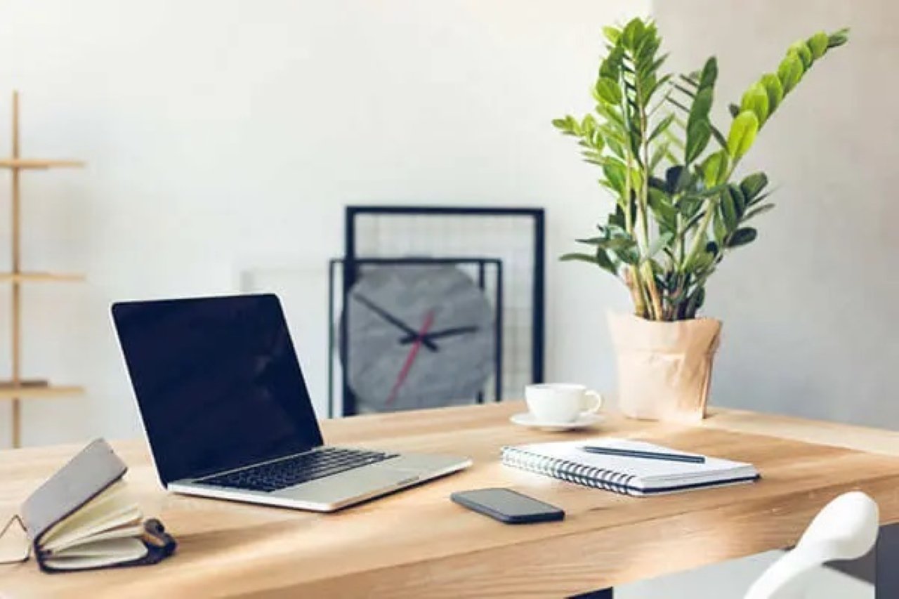Đặt một chậu cây cảnh hướng về phía cửa phòng sếp để làm tấm bình phong ngăn cách hai bên. (Ảnh minh họa)