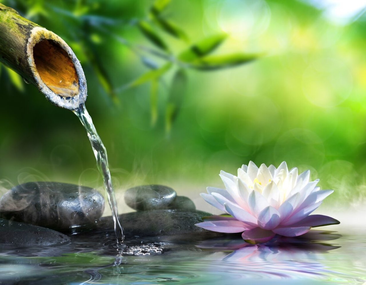 Đừng giữ cho bản thân mình có một suy nghĩ tiêu cực, hãy xem khổ nạn thật nhẹ nhàng, đó là cơ hội để tu rèn một con người, một nhân cách, là cái đà đưa người ta vượt trội lên. (Ảnh minh họa)