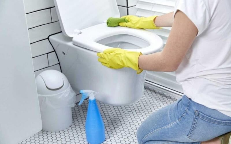 Đổ khoảng 1 cốc giấm trắng trực tiếp vào bồn cầu, đảm bảo dung dịch phủ đều thành và viền bồn. Ảnh minh họa