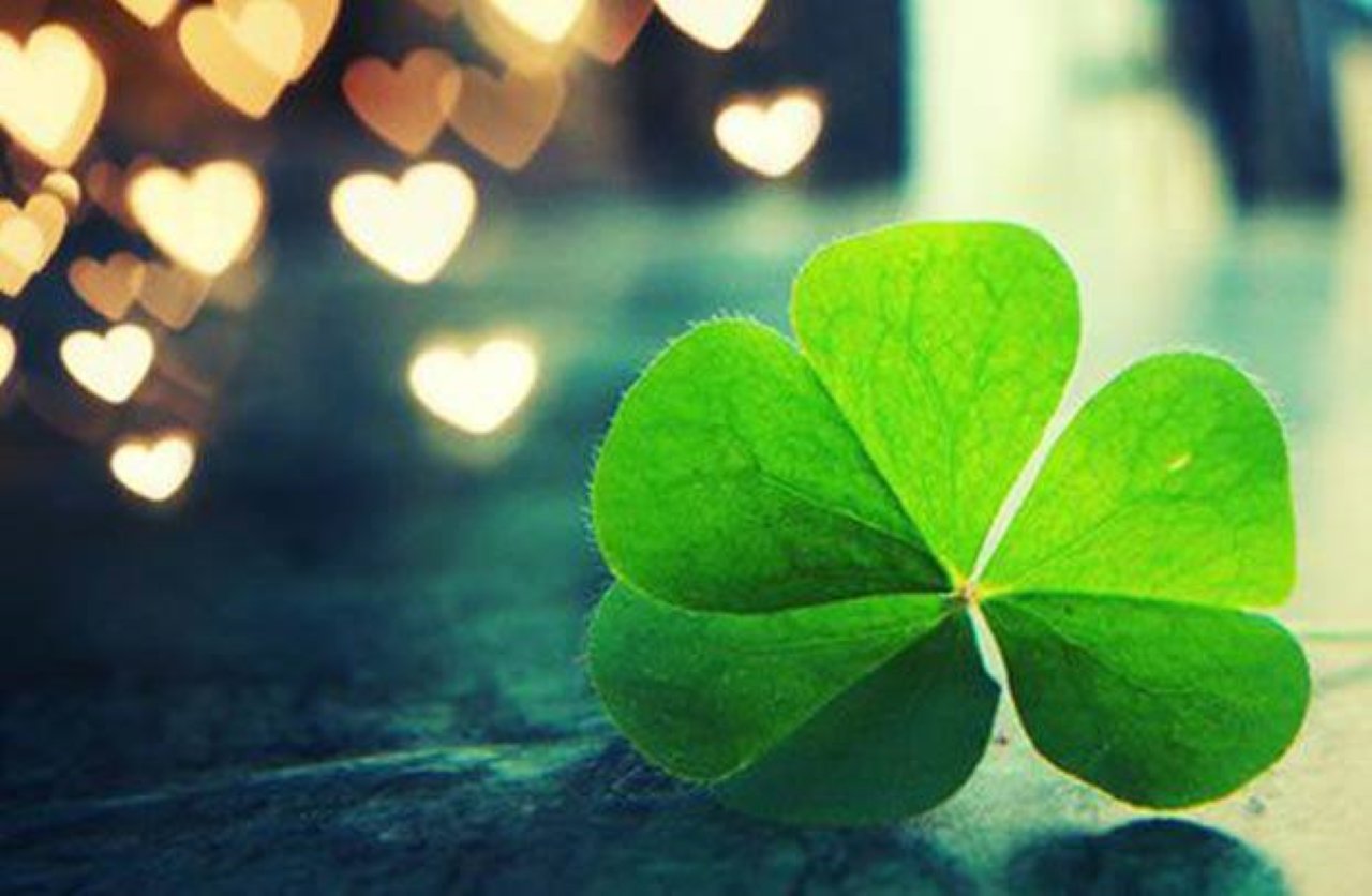 Cuộc sống trôi chảy như vậy, trôi chảy đến mức