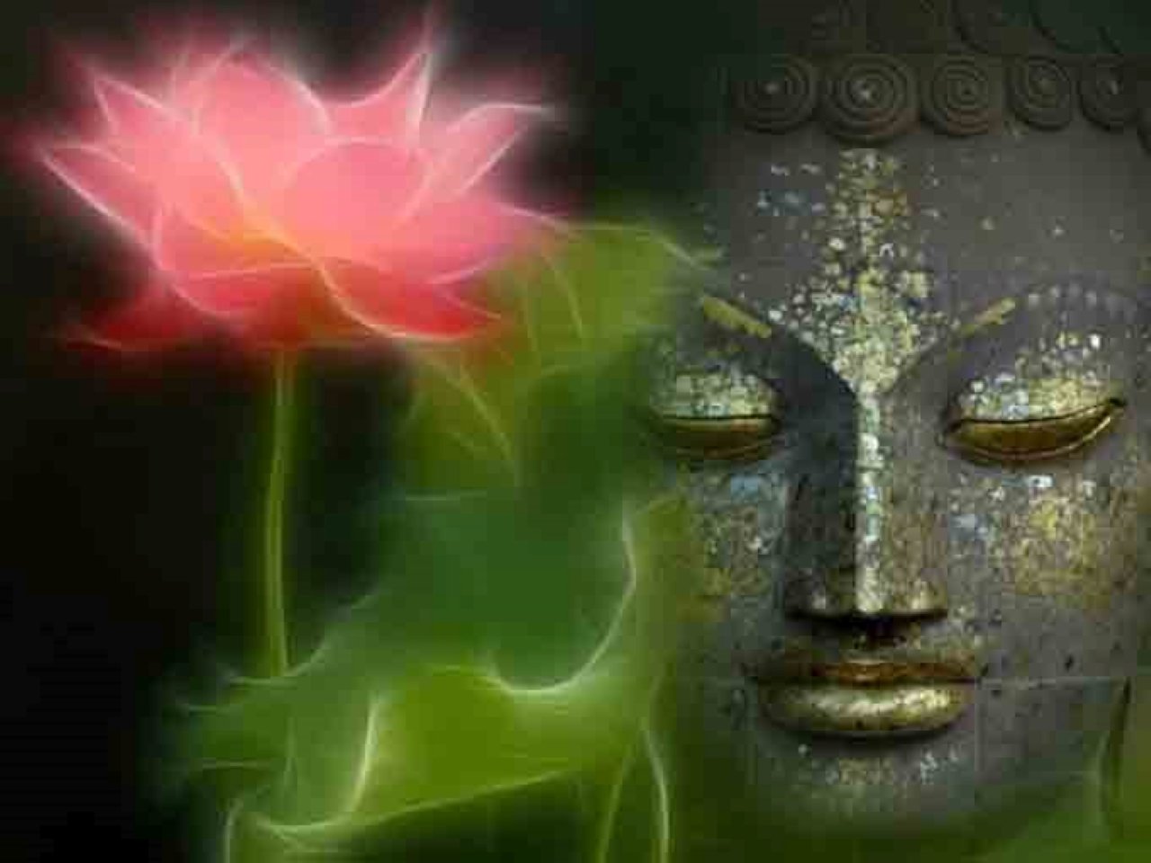 Một người tin nhân quả thì mới tập trung làm việc thiện, điều lành. (Ảnh minh họa)