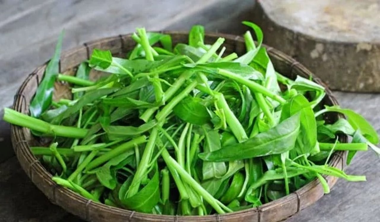 Ăn rau muống có thể cải thiện 3 vấn đề sức khỏe chính của người trung niên và người già là: giấc ngủ, huyết áp và tiêu hóa