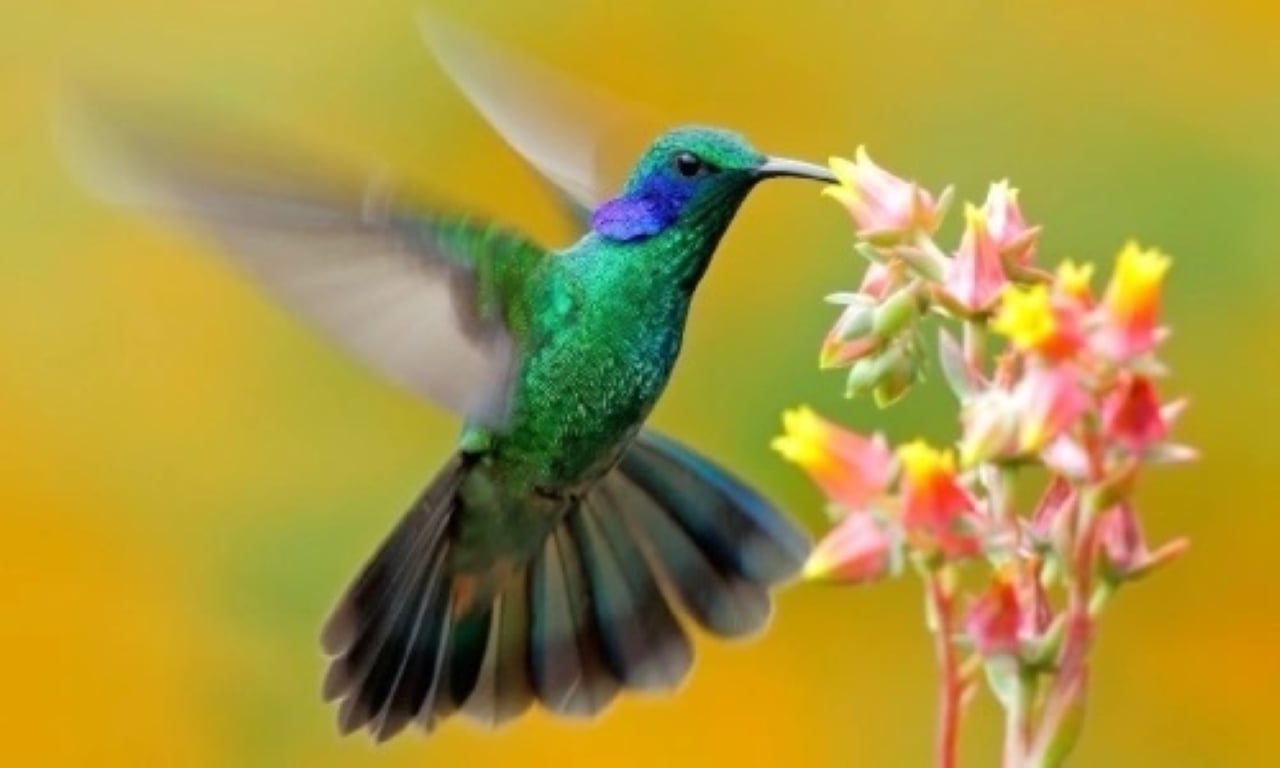 Người có ngày sinh Âm lịch kết thúc bằng số 2 không chỉ có tính cách tốt, nổi tiếng và may mắn mà còn có thể giữ được sự cân bằng trong cuộc sống, thật đáng ghen tị. (Ảnh minh họa)