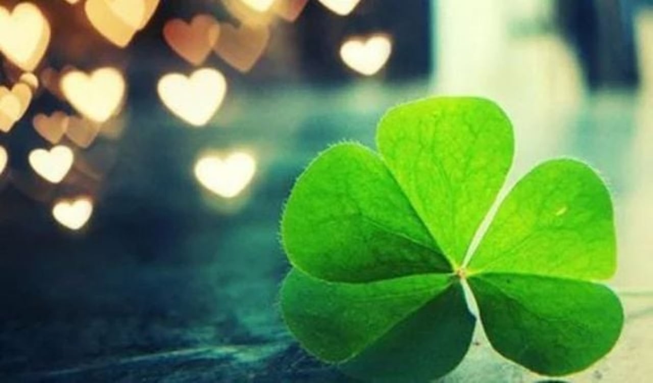 Hiếu thảo với cha mẹ là phước lành lớn nhất trên đời. (Ảnh minh họa)