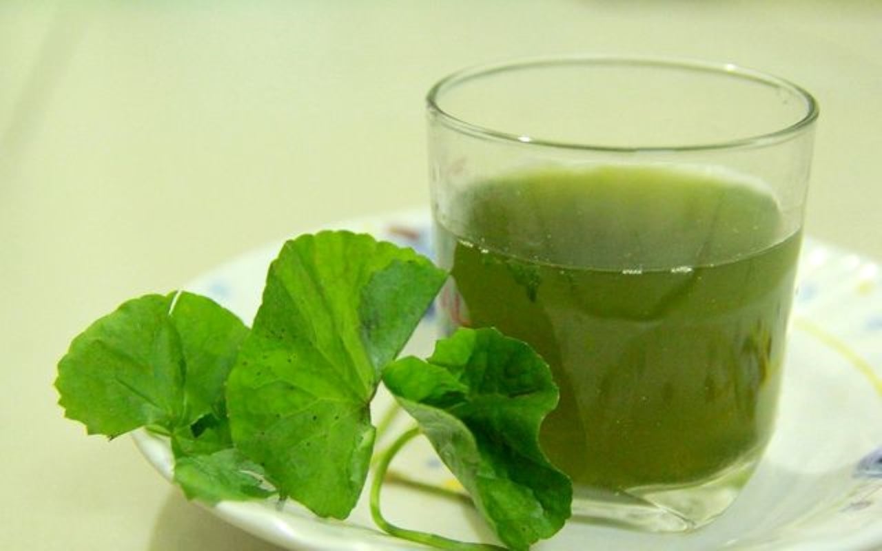 Rau má có tính mát và hàm lượng nước cao, giúp làm dịu cơ thể sau những ngày ăn uống nhiều dầu mỡ.