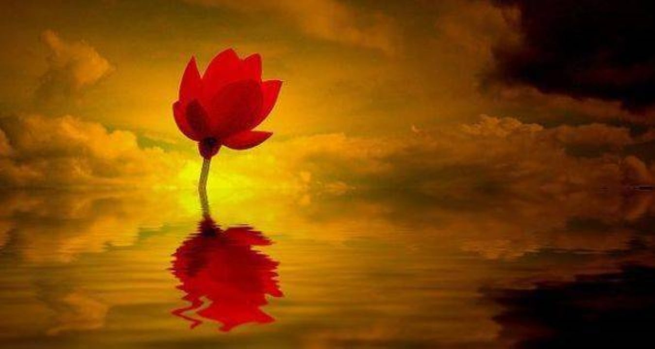 Bất kể bạn đã gặp những cơ hội tuyệt vời như thế nào và bạn đã đạt được bao nhiêu của cải, thì thực tế là bạn phải nỗ lực rất nhiều mới có thể vượt qua khó khăn. (Ảnh minh họa)