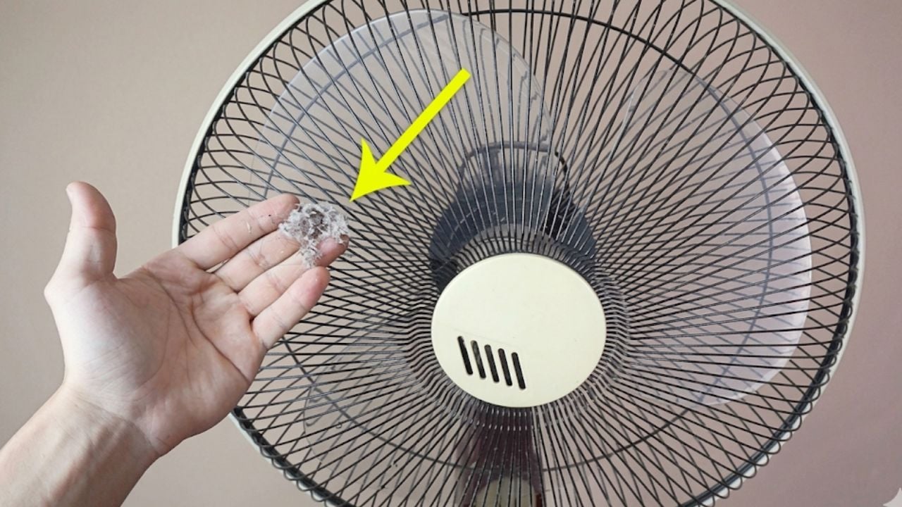Mẹo làm sạch quạt điện không cần tháo khung, chỉ 5 phút là ...