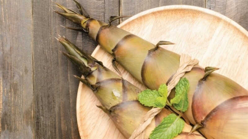 Không chỉ giàu kali, măng tre còn chứa nhiều chất xơ và vitamin, giúp hỗ trợ tiêu hóa. Ảnh minh họa