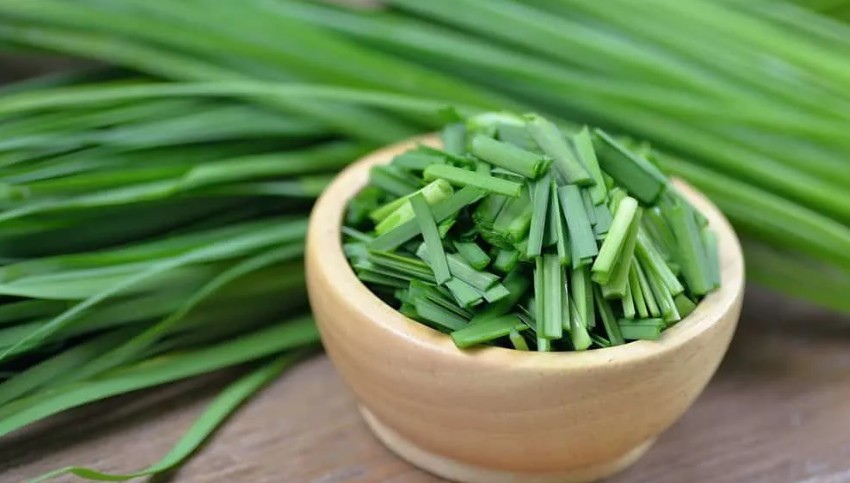 Loại rau dân dã nhiều người chê ví như “trợ thủ vàng” của sức khỏe với ...