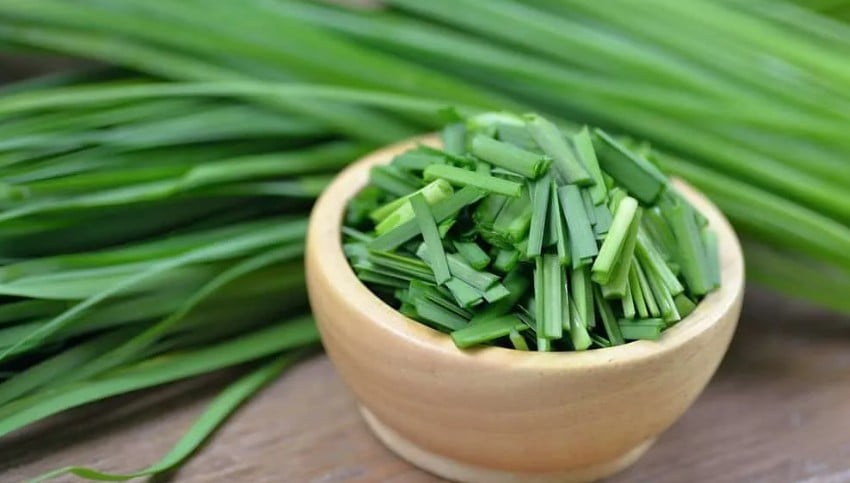 Hẹ vốn là loại rau quen thuộc trong bữa cơm gia đình Việt, thường xuất hiện trong các món xào, canh hay làm nhân bánh. Ảnh minh họa