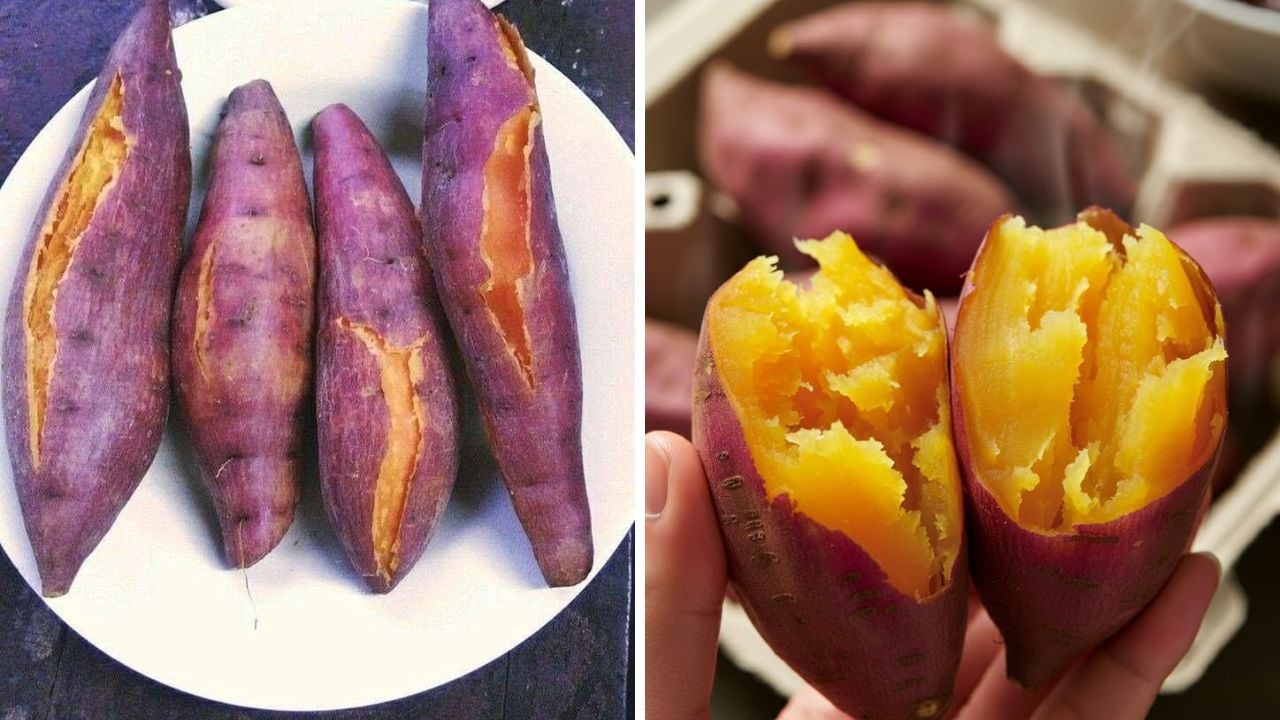 Khung giờ ăn khoai lang giảm cân nhanh nhất