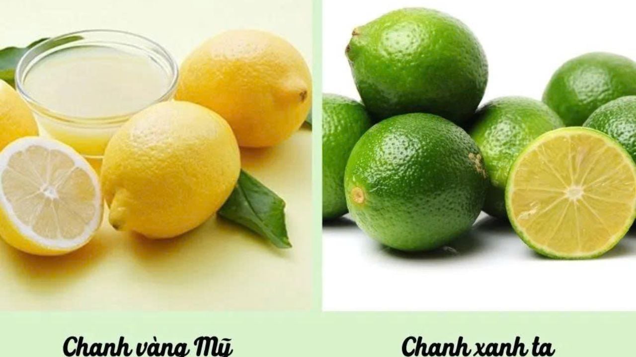 มะนาวไทย vs เลมอน อะไรดีกว่ากัน? คำตอบที่คนไทยส่วนใหญ่ยังเข้าใจผิด