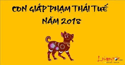 con-giap-pham-thai-tue-2018