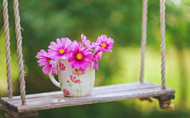 best-beautiful-flower-images-wallpapers-hd-desktop-most-flowers-of-mobile_24119543