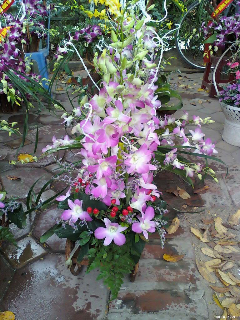 Tong hop cach cam hoa lan dep ngày Tet phunutoday.vn 5